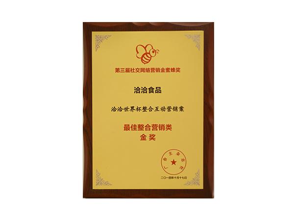 最佳整郃(he)營(ying)銷類金獎